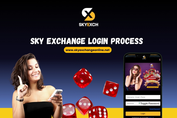 Sky Exchange Login Process