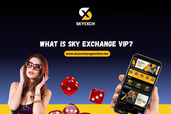 What is Sky Exchange VIP