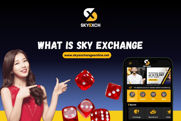 What is Sky Exchange?