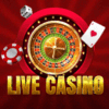 Sky Exchange Live Casino